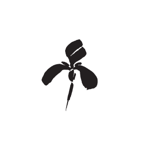 iris window cleaning logo